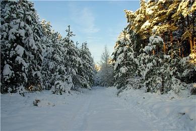 五年之约已到 《堡垒之夜》将和Lady Gaga联动